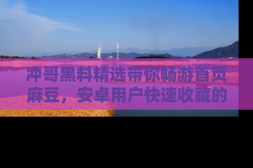 冲哥黑料精选带你畅游首页麻豆，安卓用户快速收藏的秘密武器！