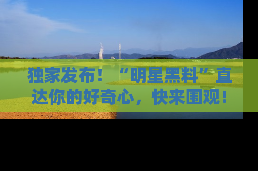 独家发布！“明星黑料”直达你的好奇心，快来围观！