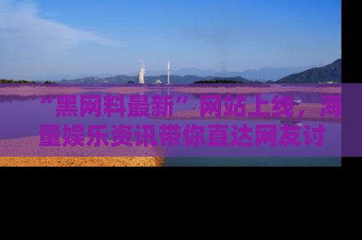 “黑网料最新”网站上线，海量娱乐资讯带你直达网友讨论的中心！