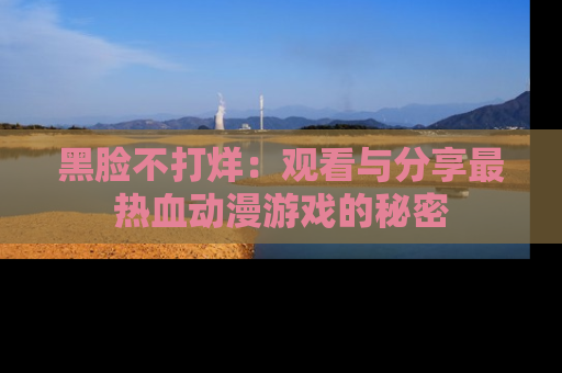黑脸不打烊：观看与分享最热血动漫游戏的秘密