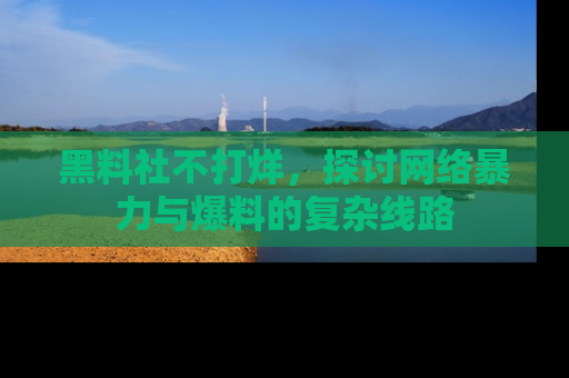 黑料社不打烊，探讨网络暴力与爆料的复杂线路