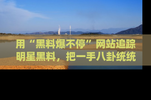 用“黑料爆不停”网站追踪明星黑料，把一手八卦统统收进你的后宫中！