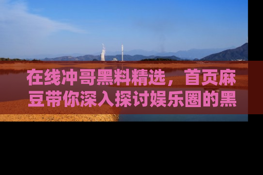 在线冲哥黑料精选，首页麻豆带你深入探讨娱乐圈的黑暗面